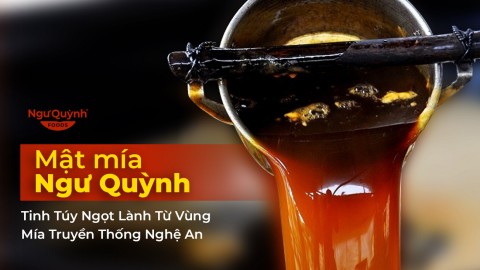 Mật Mía Ngư Quỳnh – Tinh Túy Ngọt Lành Từ Vùng Mía Truyền Thống Nghệ An