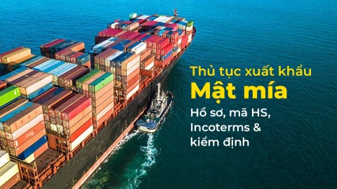 Thủ tục xuất khẩu mật mía: Hồ sơ, mã HS, Incoterms & kiểm định