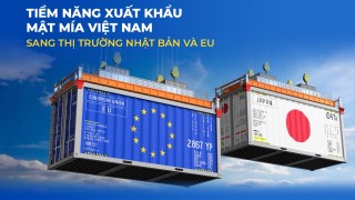 Tiềm năng xuất khẩu Mật mía Việt Nam sang thị trường Nhật Bản và EU