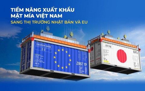 Tiềm năng xuất khẩu Mật mía Việt Nam sang thị trường Nhật Bản và EU
