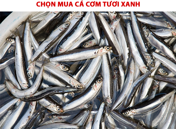 cá cơm làm mắm