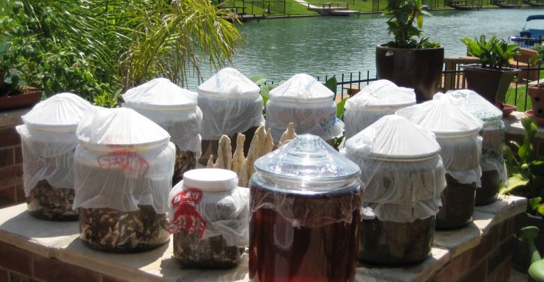mắm cua đồng